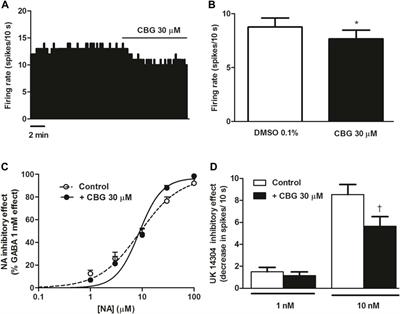 Cannabigerol modulates α2-adrenoceptor and 5-HT1A receptor-mediated electrophysiological effects on dorsal raphe nucleus and locus coeruleus neurons and anxiety behavior in rat